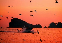 영동여행사