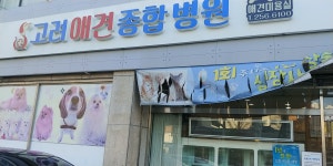 고려동물병원