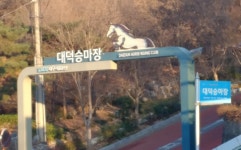 대덕승마장