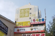 샤도캣