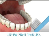 뉴턴1665