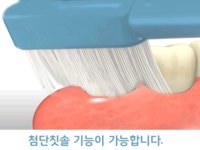 뉴턴1665