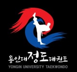 용인대정도태권도