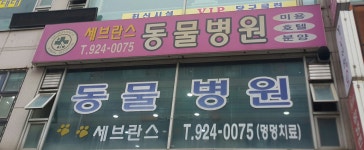 세브란스동물병원