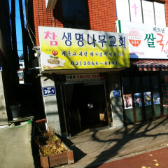 참생명나무교회