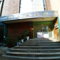 새빛교회
