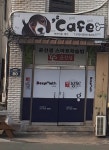 카페 애견미용