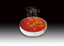 청와삼대 평택 죽백점