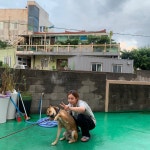 제주공항 게스트하우스 노마드인제주