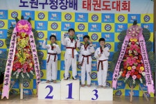 용인대경일태권도