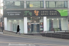 그린창