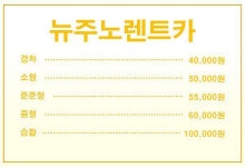 뉴주노렌트카