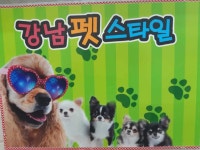 강남펫스타일