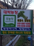 대박농장