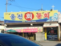 울진회물회