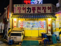 살아있는꼼장어