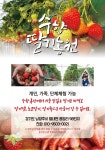 수향딸기체험농원