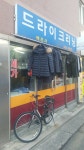 백조사