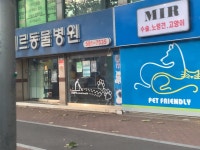 미르동물병원