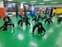 수룡관 박사 합기도