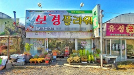 보경플라워
