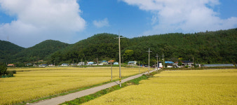 아리별농촌체험마을