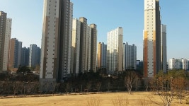 나라공인중개사사무소