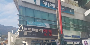블루베리안경부산대점