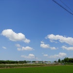 라이프스타일케이