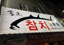 송호참치