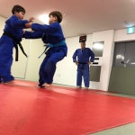 홍성유도관