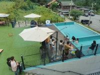 플레이독애견풀빌라