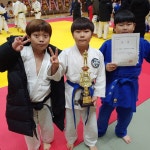 홍성유도관