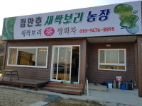 정만호 새싹보리농장