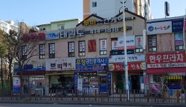 용인대 양지 태권도