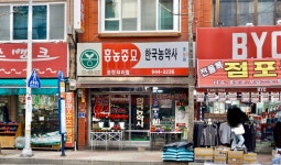 한국농약사 송정대리점