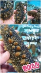 환이수산 안녕수산물