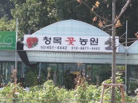 청목 꽃 농원