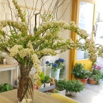 플라워카페 소월의봄