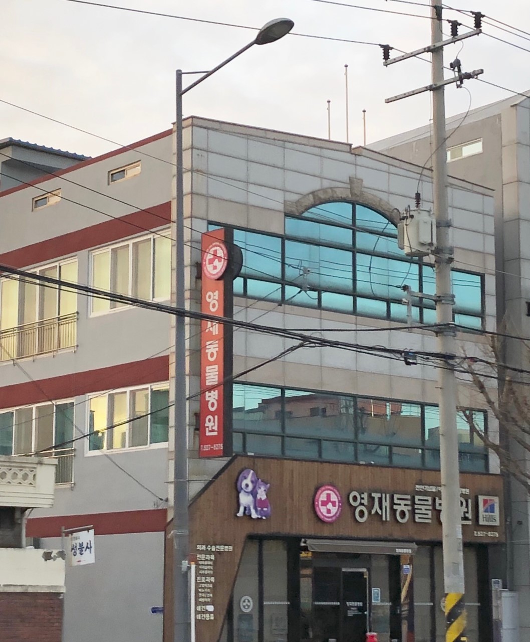 영재애견병원