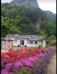 올레쉼터