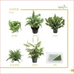 글로벌원예자재 일산창고