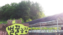 화실옆벌꿀농장