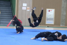 합기도정도관 총본관