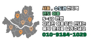 펫헤이븐