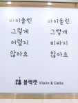 블랙캣 바이올린음악학원