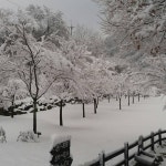 횡성산울림오토캠핑장