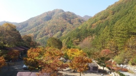 횡성산울림오토캠핑장