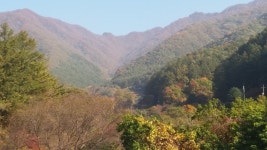 횡성산울림오토캠핑장