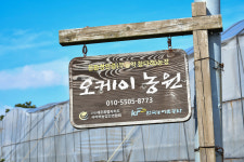 제주오케이농원